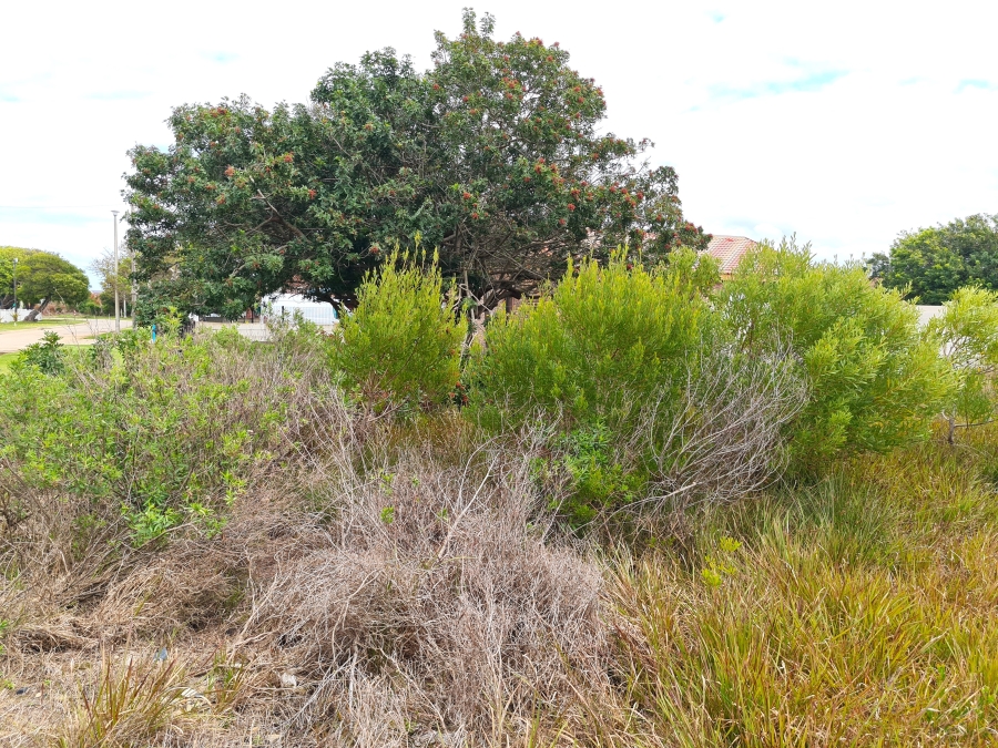 0 Bedroom Property for Sale in Paradise Beach Eastern Cape